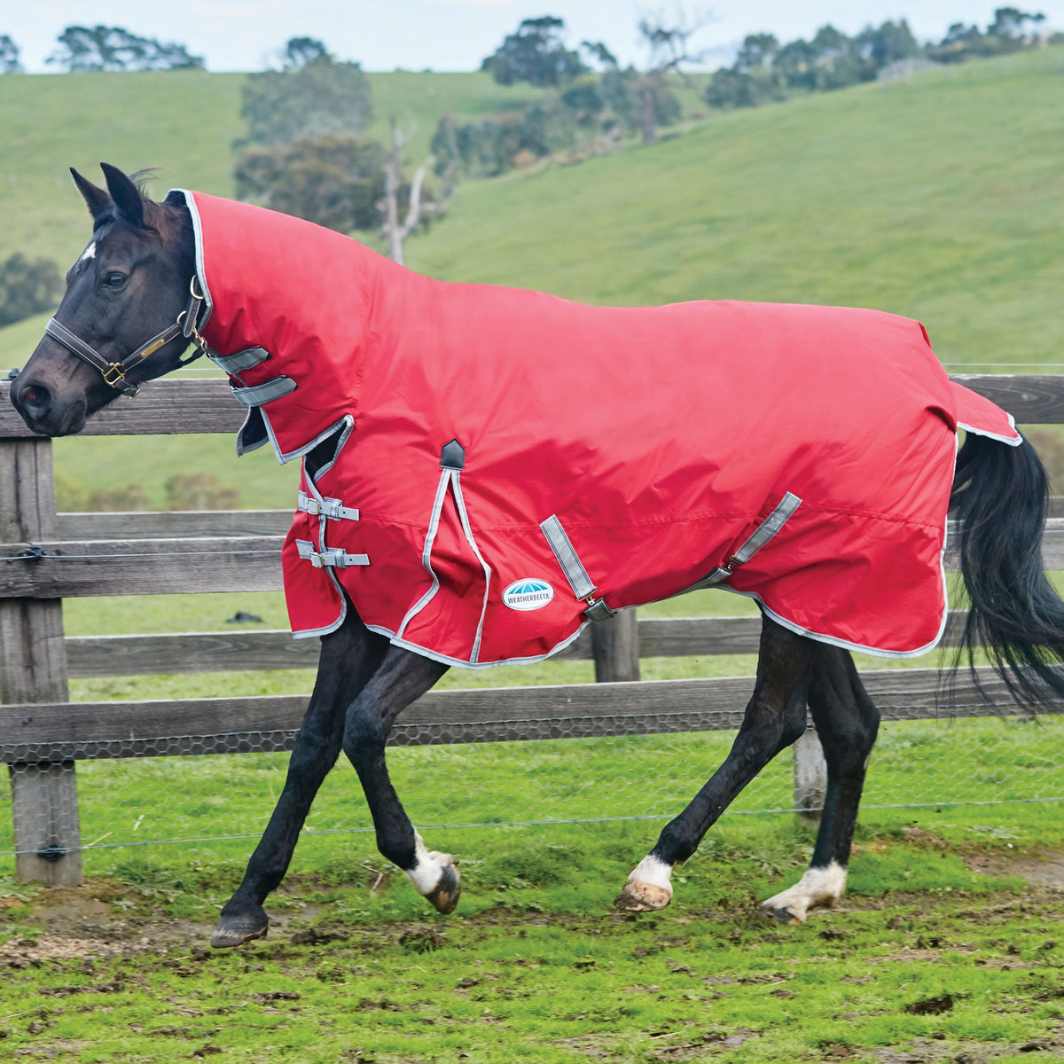 Masta Waterproof Quarter Sheet Red