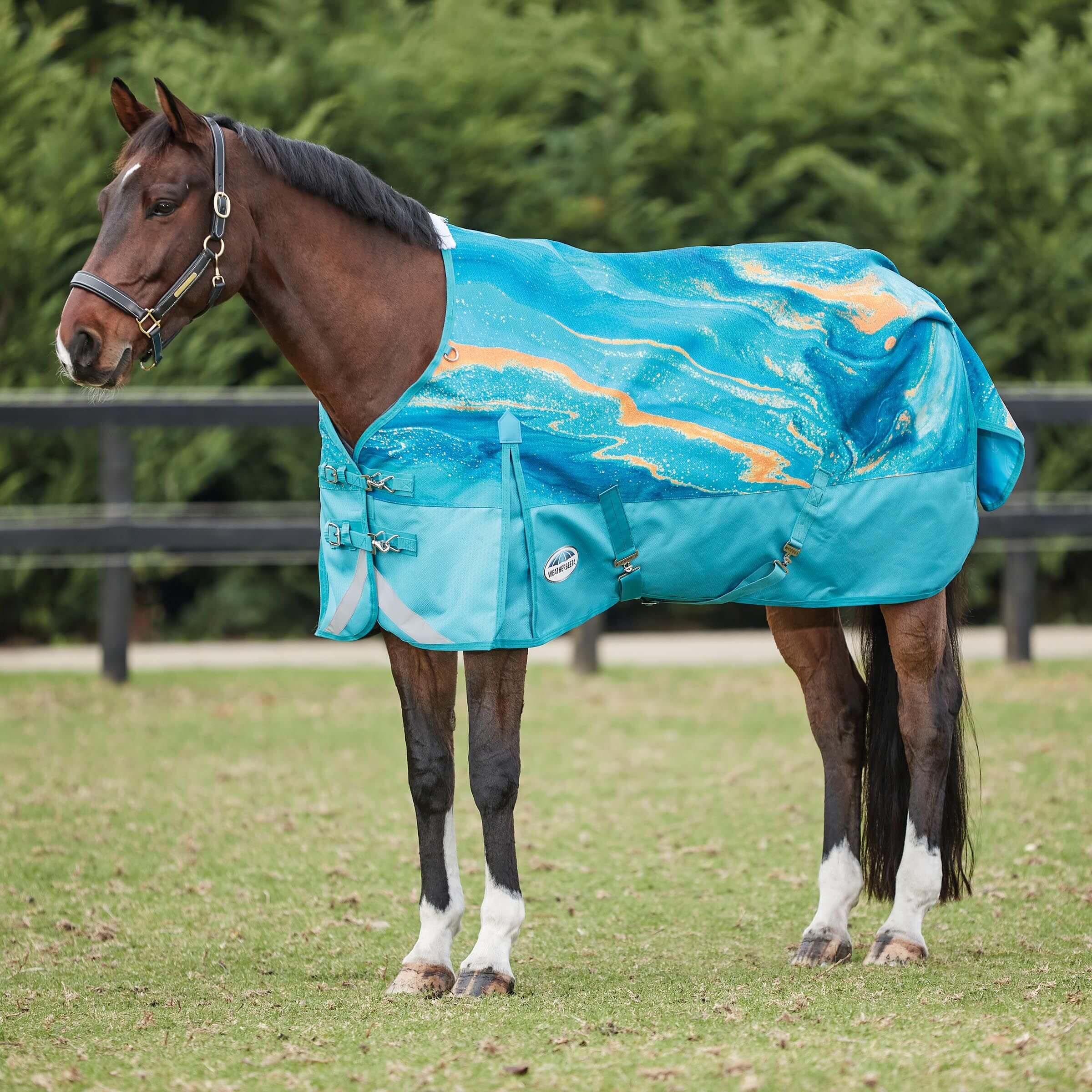 Weatherbeeta horse deals blankets