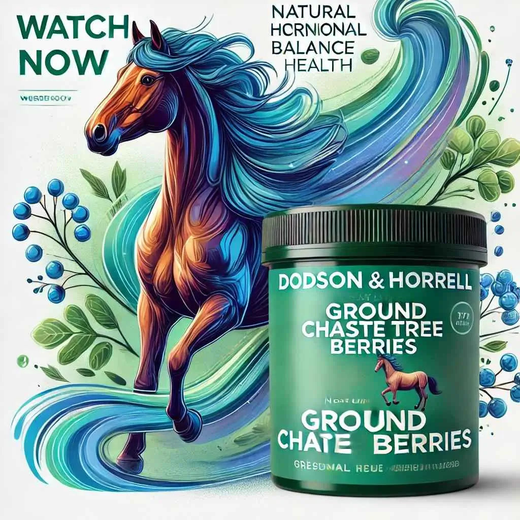 Dodson & Horrell Ground Chaste Tree Berries Review: Benefits for Moody Mares & Older Horses - JUST HORSE RIDERS