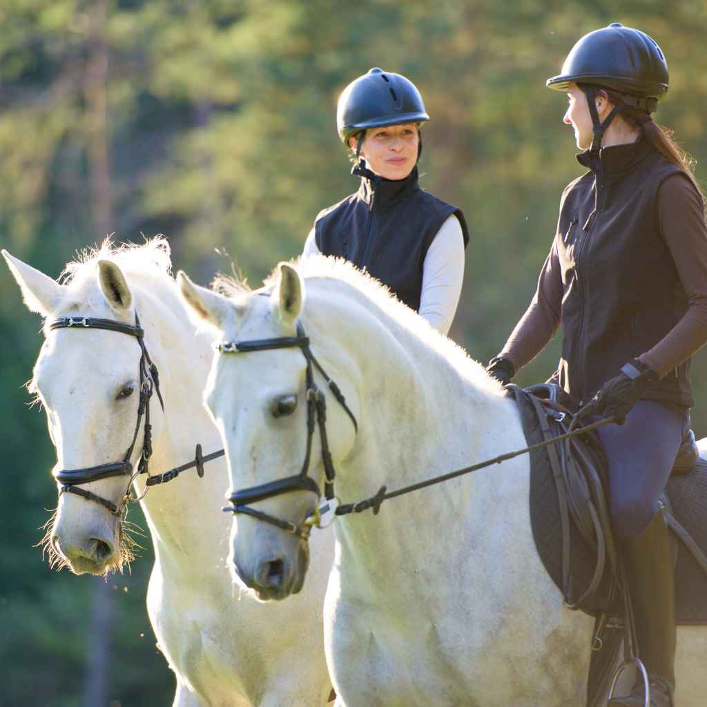 The Comfort, Stretch and Panic Model, Made Simple - Horse Riding