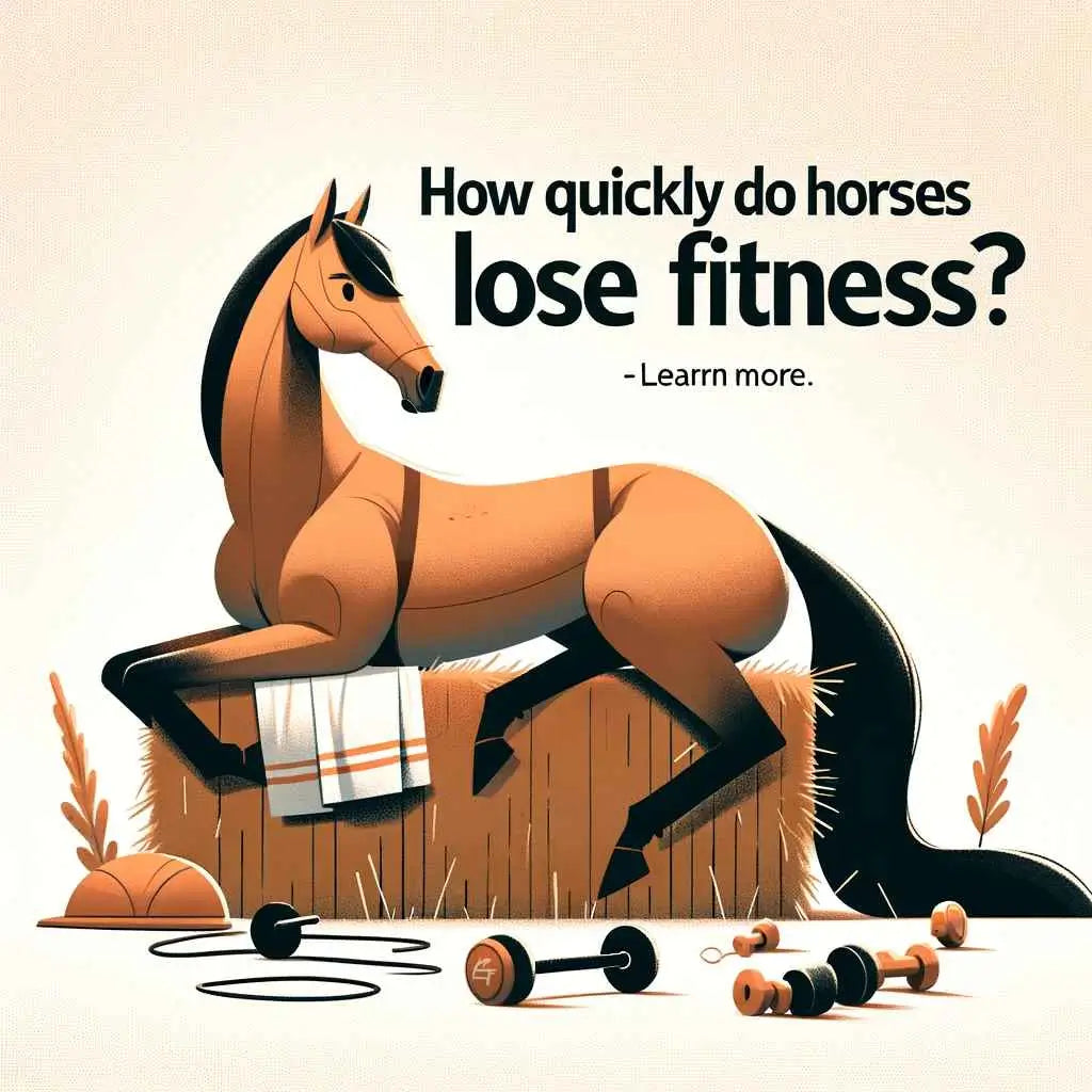How Quickly Do Horses Lose Fitness? - Just Horse Riders