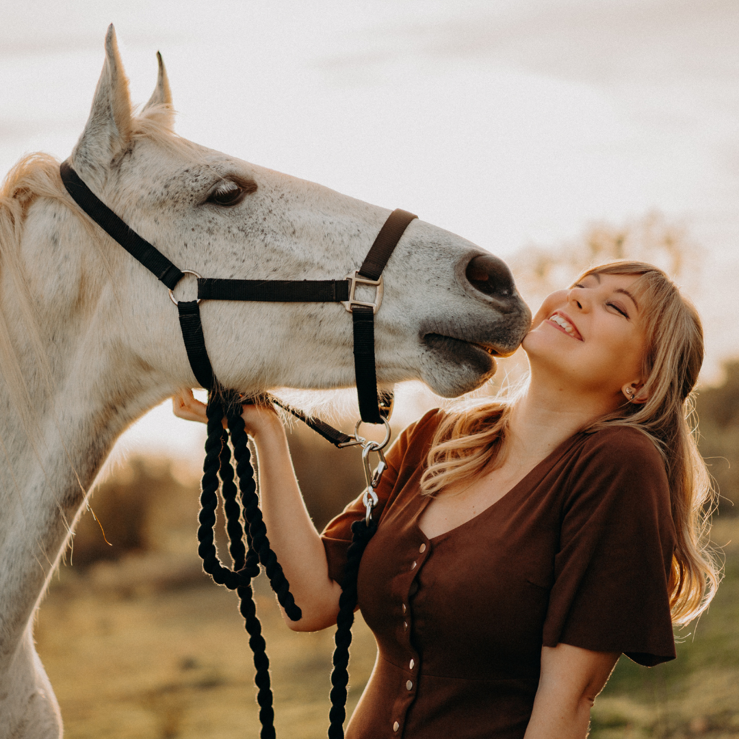 Can Valentines day be for horses?