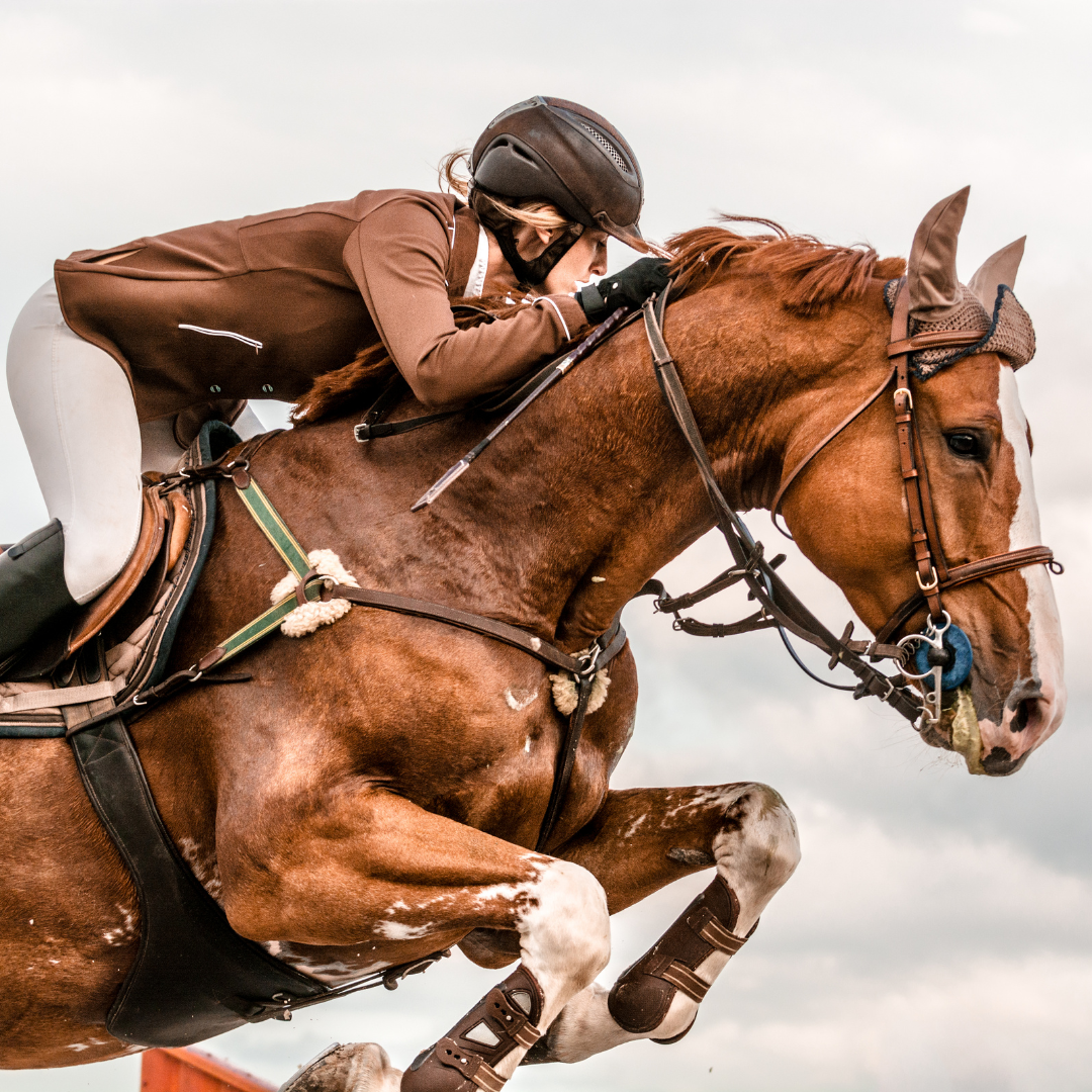 Legends of the Saddle: The 10 Greatest Horse Riders and Equestrian Disciplines