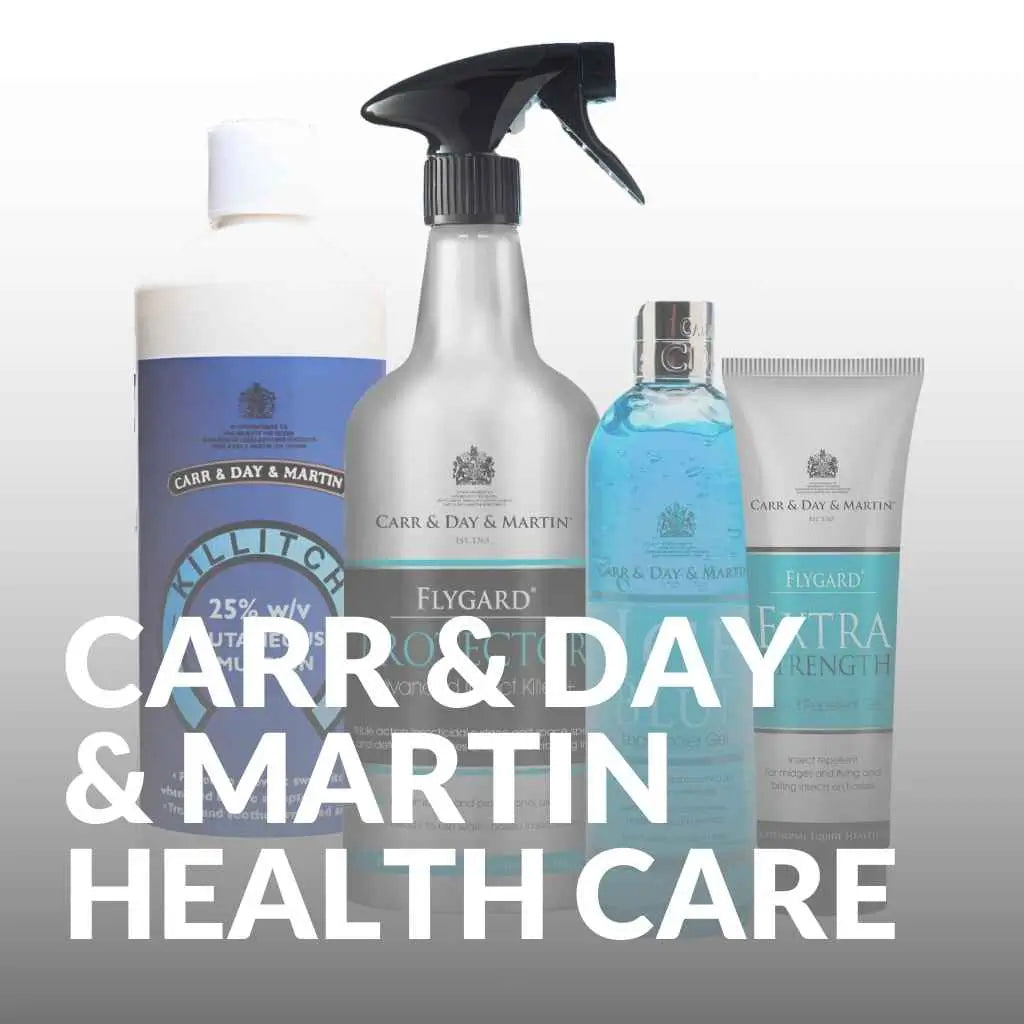 CARR & DAY & MARTIN HEALTH CARE - just horse riders