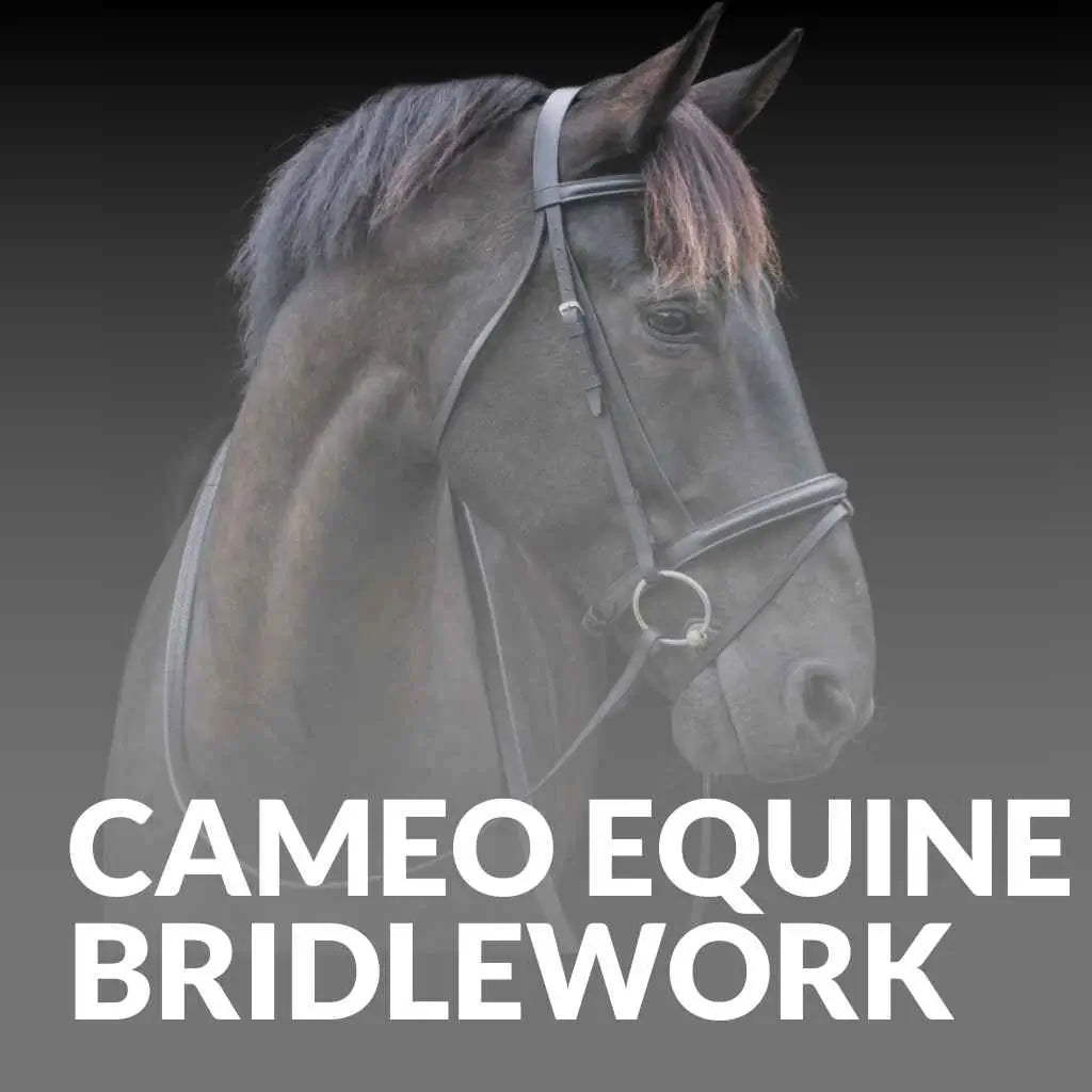 Explore High-Quality Cameo Equine Bridlework – Get Yours Today!