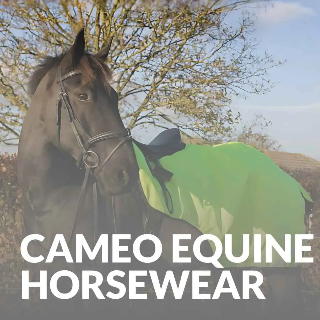 Upgrade Your Horse’s Wardrobe – Shop Cameo Equine Horsewear Now!