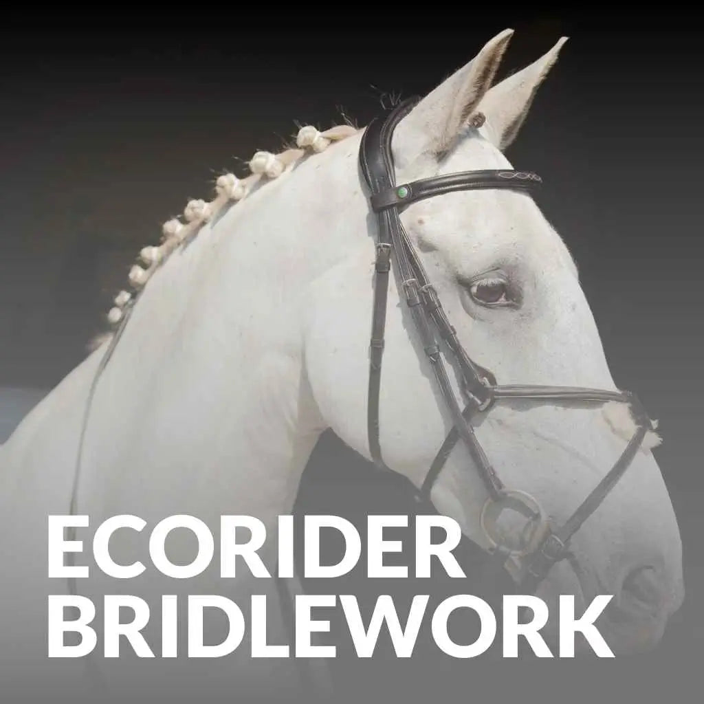 Eco-Friendly Horse Bridles by Ecorider: Shop Now for Premium Tack