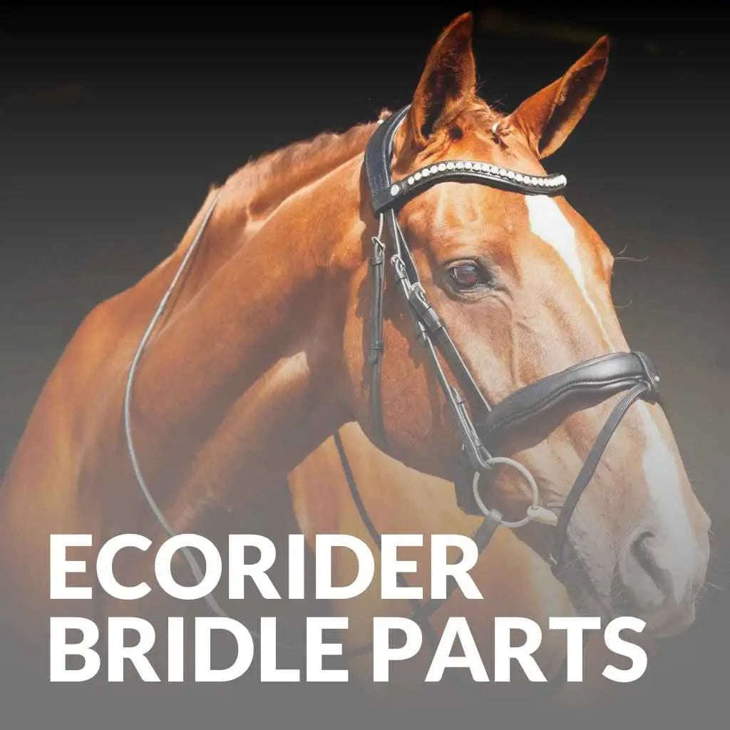 Sustainable Ecorider Bridle Parts – Upgrade Your Tack Collection Today