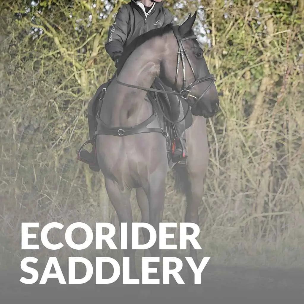 Shop The Best Ecorider Saddlery – Eco-Friendly Gear For Every Rider