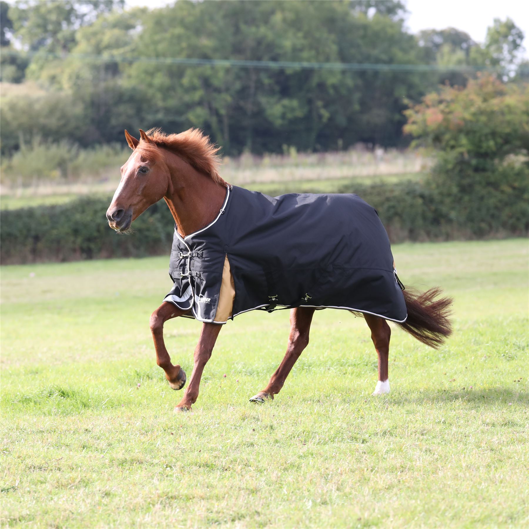 Highlander Plus 200 Turnout Rug - Just Horse Riders