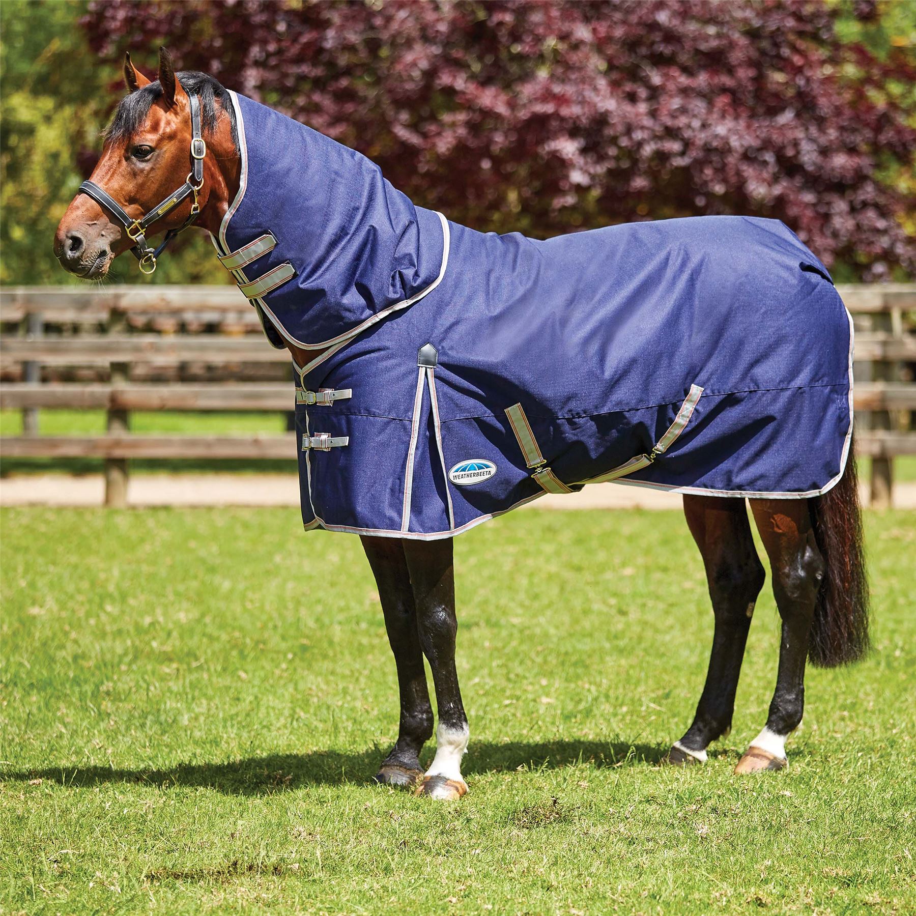 Weatherbeeta Comfitec Essential Detach-A-Neck Medium - Just Horse Riders