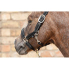 Cameo Equine Fieldsafe Headcollar - Keep Your Horse Safe with Reflective Webbing - Just Horse Riders