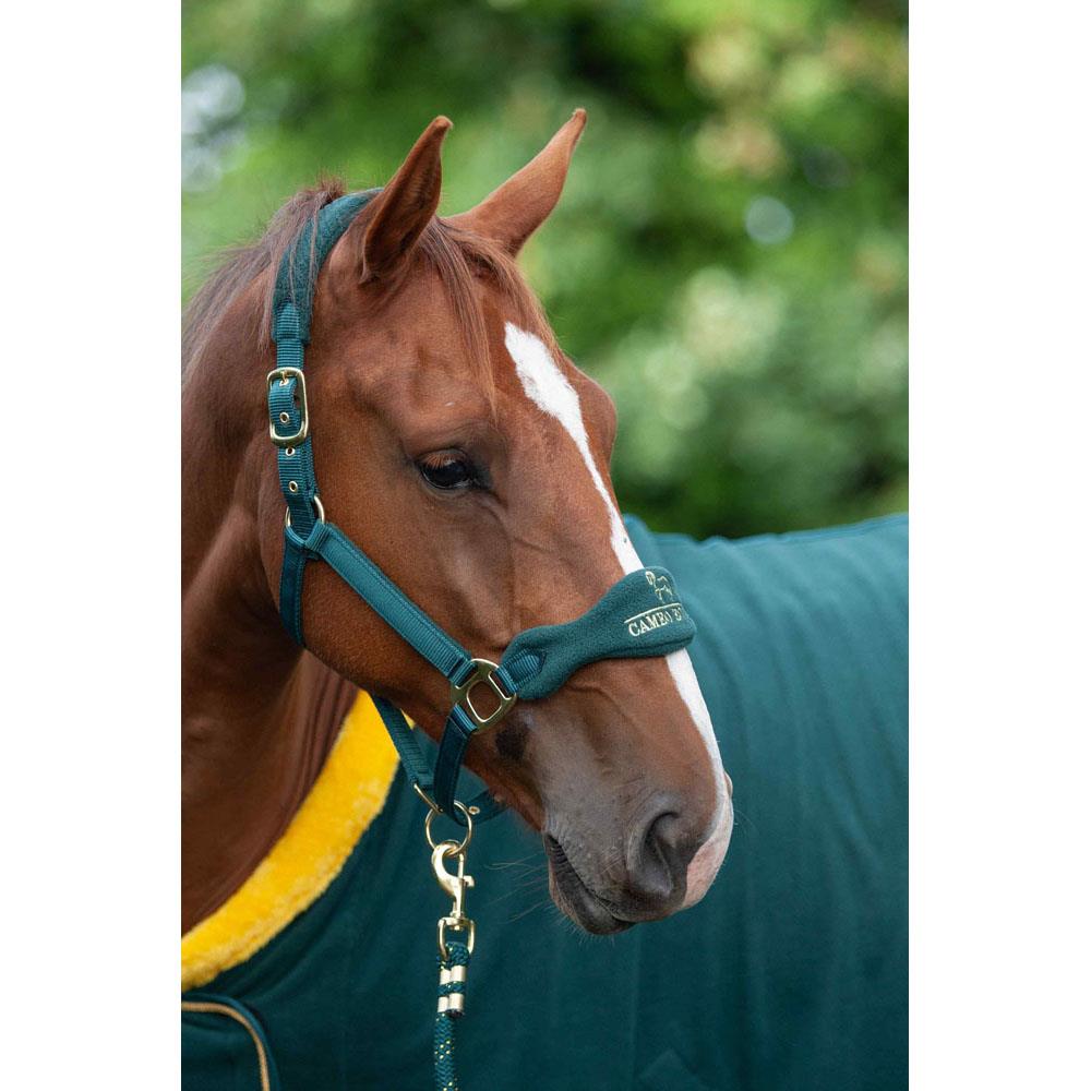 Cameo Elite Headcollar & Leadrope - Soft Padded Comfort, No Rust Silver Fittings - Just Horse Riders