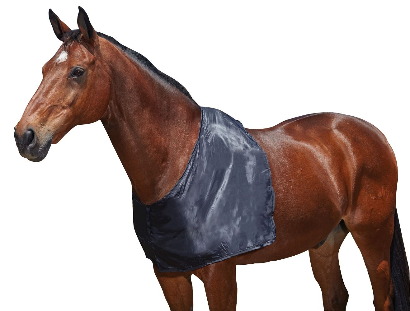 Weatherbeeta Satin Shoulder Guard - Just Horse Riders