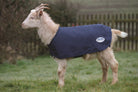 WeatherBeeta Deluxe Goat Coat - Just Horse Riders