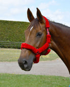 Rhinegold Fur Trim Headcollar - Just Horse Riders