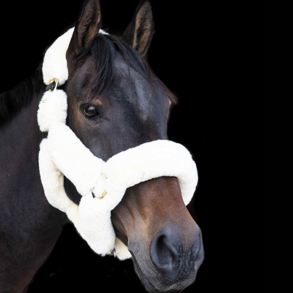 Eco Rider Supreme Headcollar - Ultimate Luxury with Softest Faux Sheepskin