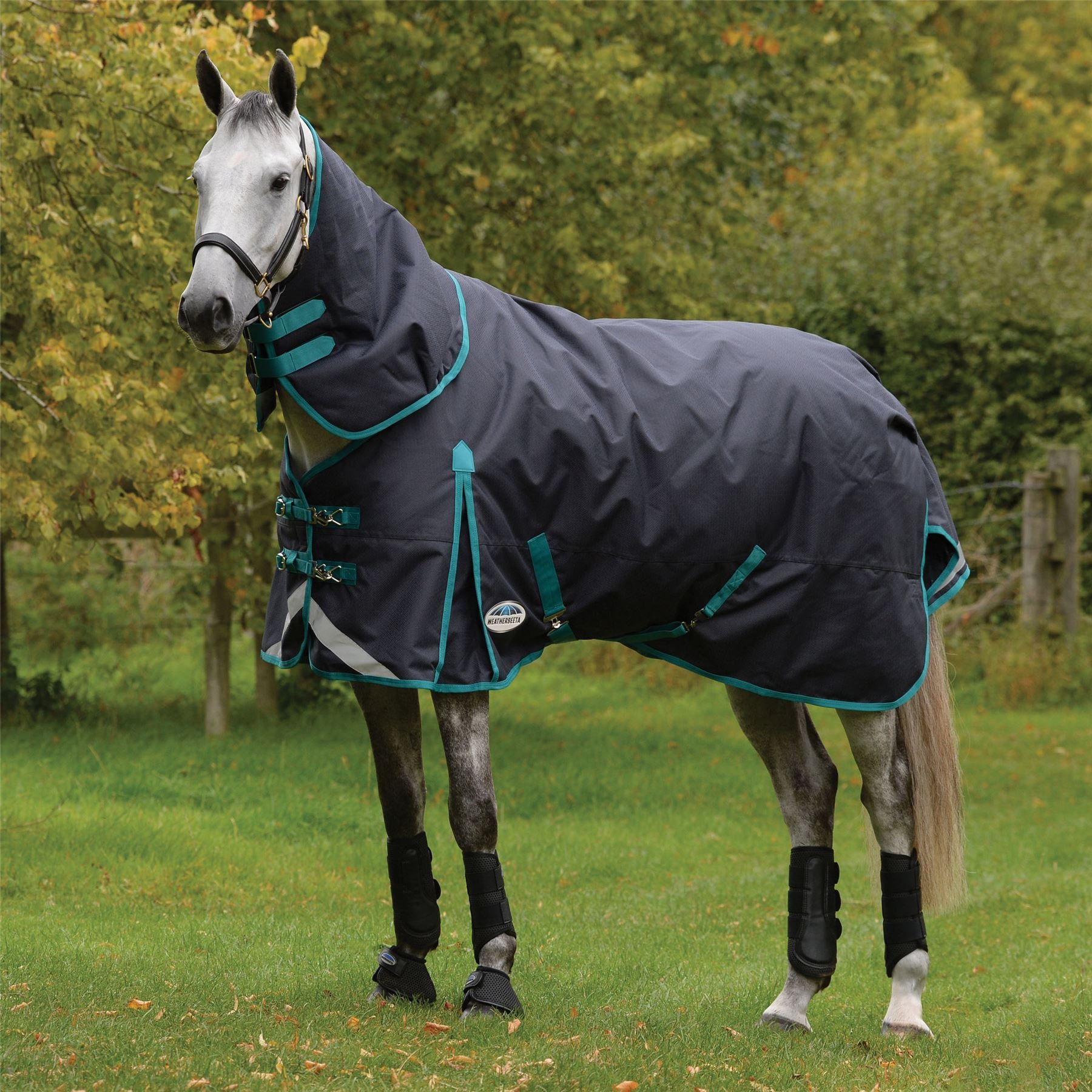 Weatherbeeta Comfitec Plus Dynamic Ii Detach-A-Neck Medium - Just Horse Riders