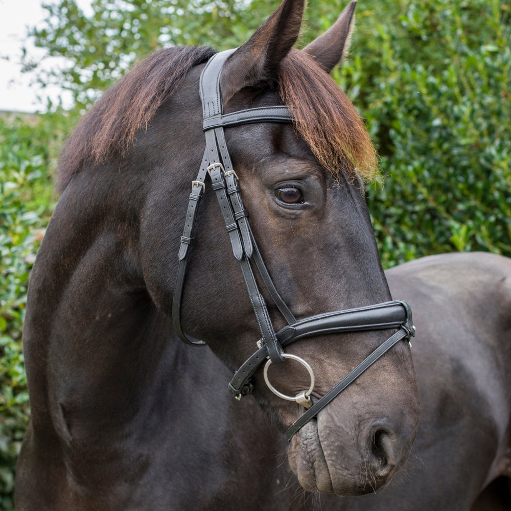 Eco Rider Ecosoft Luxe Bridle - Ultimate Comfort Pressure Relief Design - Just Horse Riders