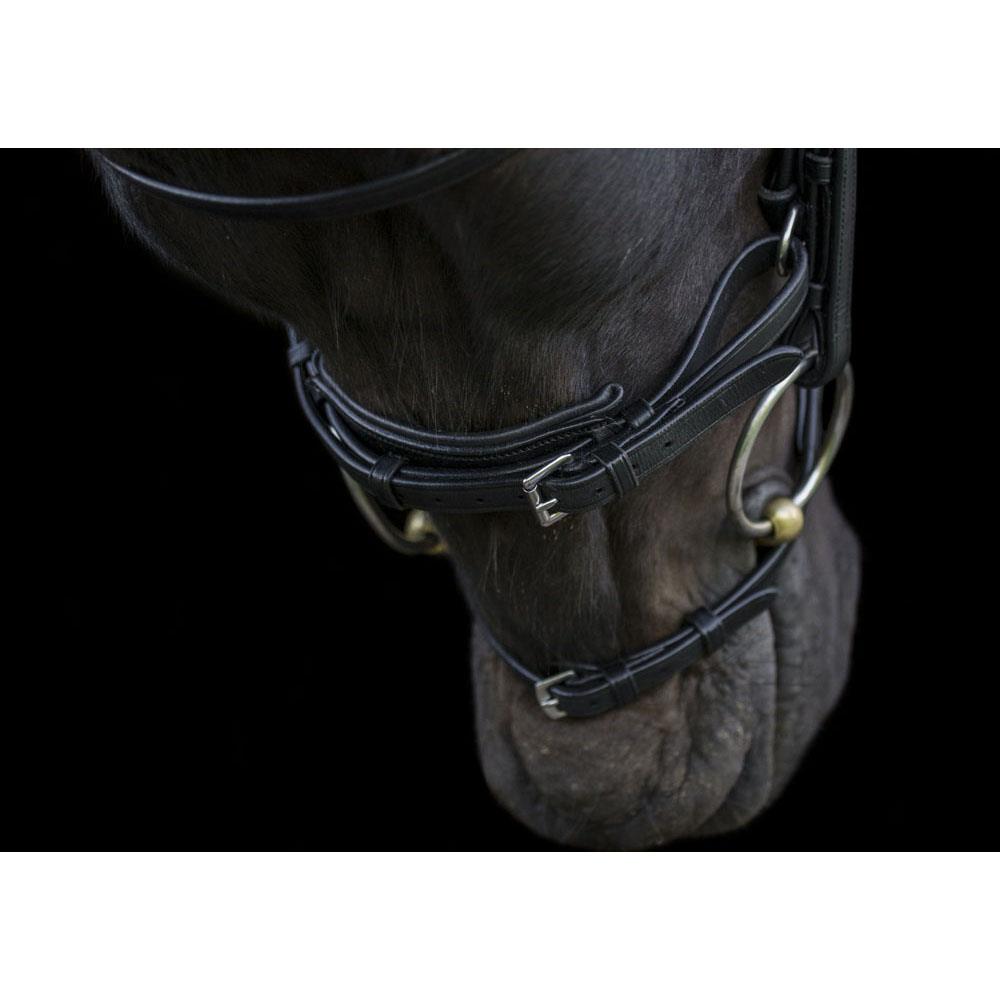 Eco Rider Ecosoft Acclaim Bridle -Soft EcoLeather, Padded Browband Crystal Inlay - Just Horse Riders