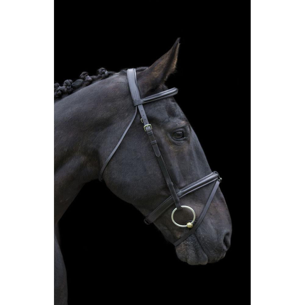 Handcrafted EcoLeather Classic Comfort Bridle Padded Headpiece & Removable Flash - Just Horse Riders