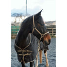 Cameo Equine Core Headcollar & Rope: For Everyday Use with Soft Neoprene Lining - Just Horse Riders