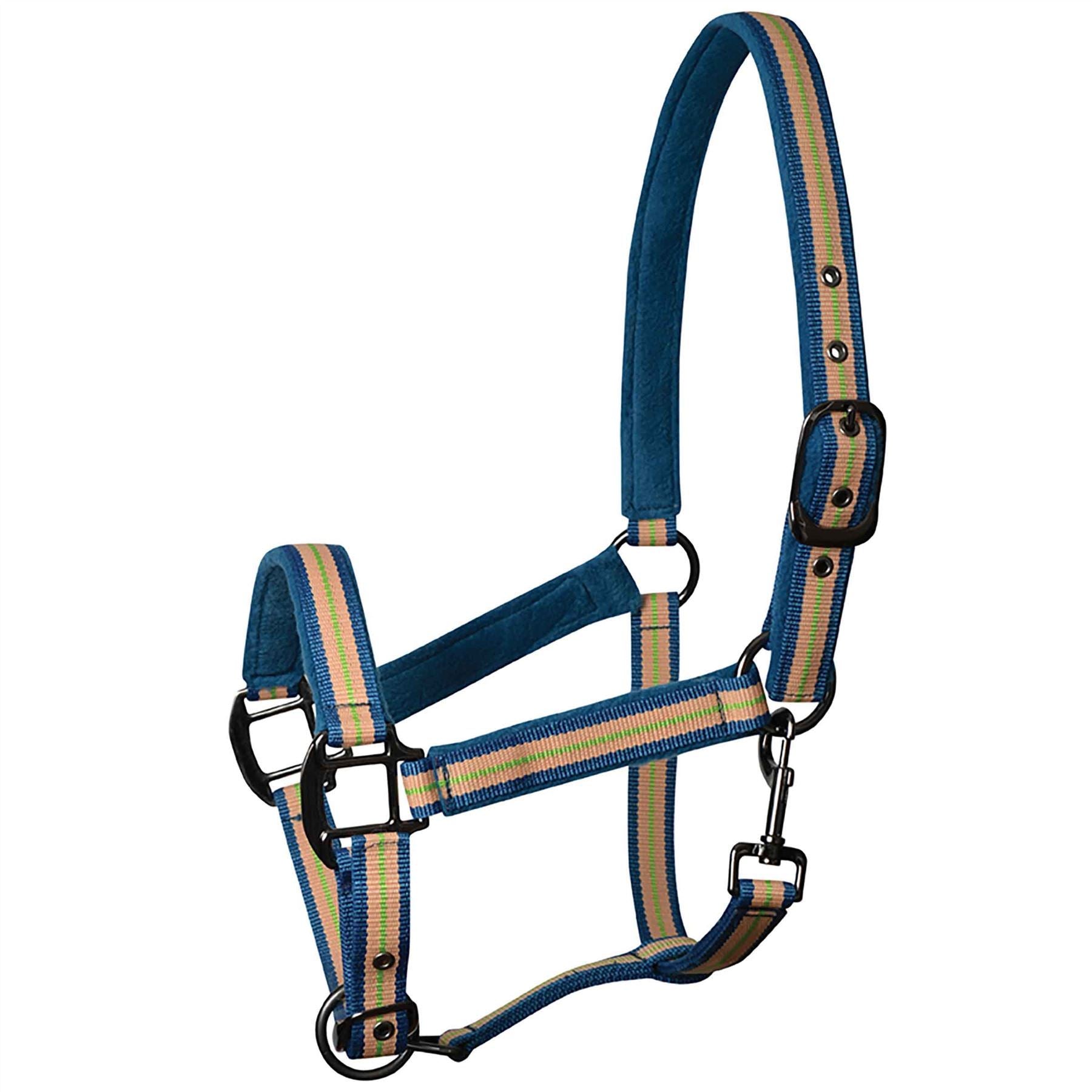 Weatherbeeta Coordinate Headcollar - Just Horse Riders