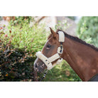 Eco Rider Supreme Headcollar - Ultimate Luxury with Softest Faux Sheepskin - Just Horse Riders