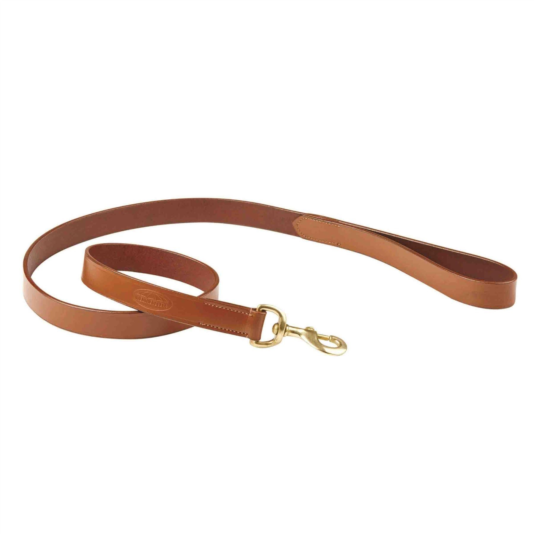 Weatherbeeta Padded Leather Dog Lead - Just Horse Riders