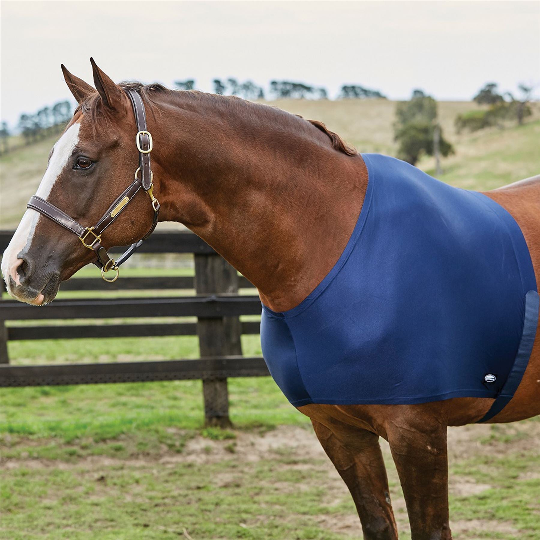 Weatherbeeta Shoulder Guard - Just Horse Riders