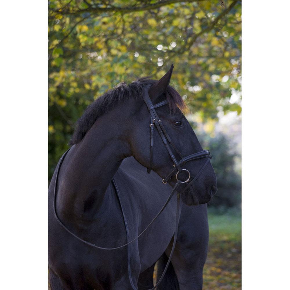 Eco Rider Ecosoft Luxe Bridle - Ultimate Comfort Pressure Relief Design - Just Horse Riders