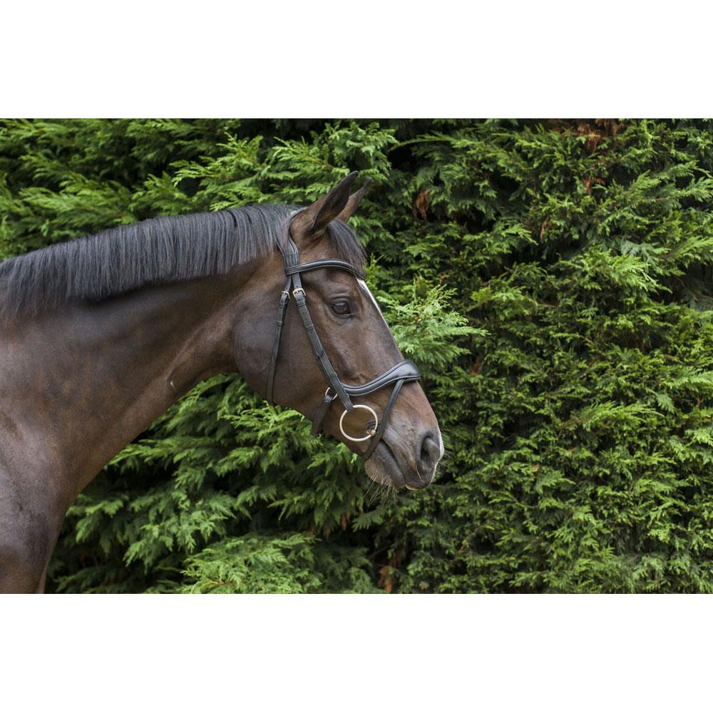 EcoRider Ecosoft Enigma Bridle - Softest Eco Leather, Supersoft Ergonomic Headpiece - Just Horse Riders