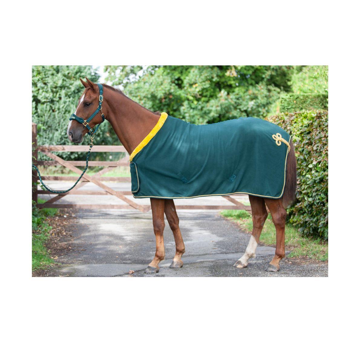 Elite Performance Anti-Pill Horse Show Rug with Faux Fur, Gold Trim - Just Horse Riders