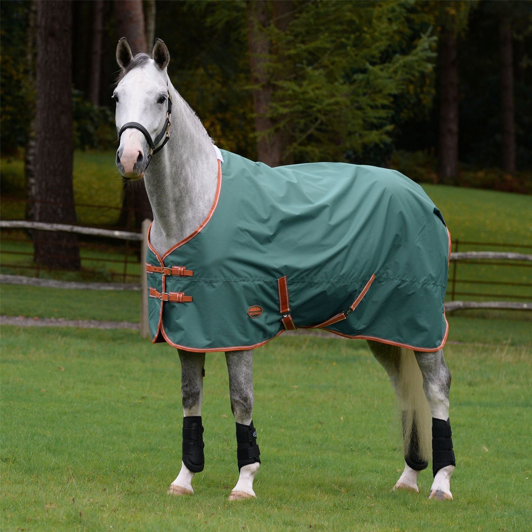 Weatherbeeta Comfitec Tyro Standard Neck Lite Plus - Just Horse Riders