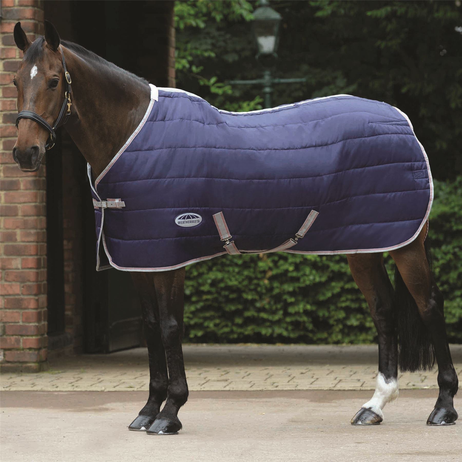 Weatherbeeta Comfitec 210D Channel Quilt Standard Neck Medium/Lite - Just Horse Riders