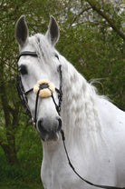 Rhinegold Anatomical Mexican Bridle - Just Horse Riders