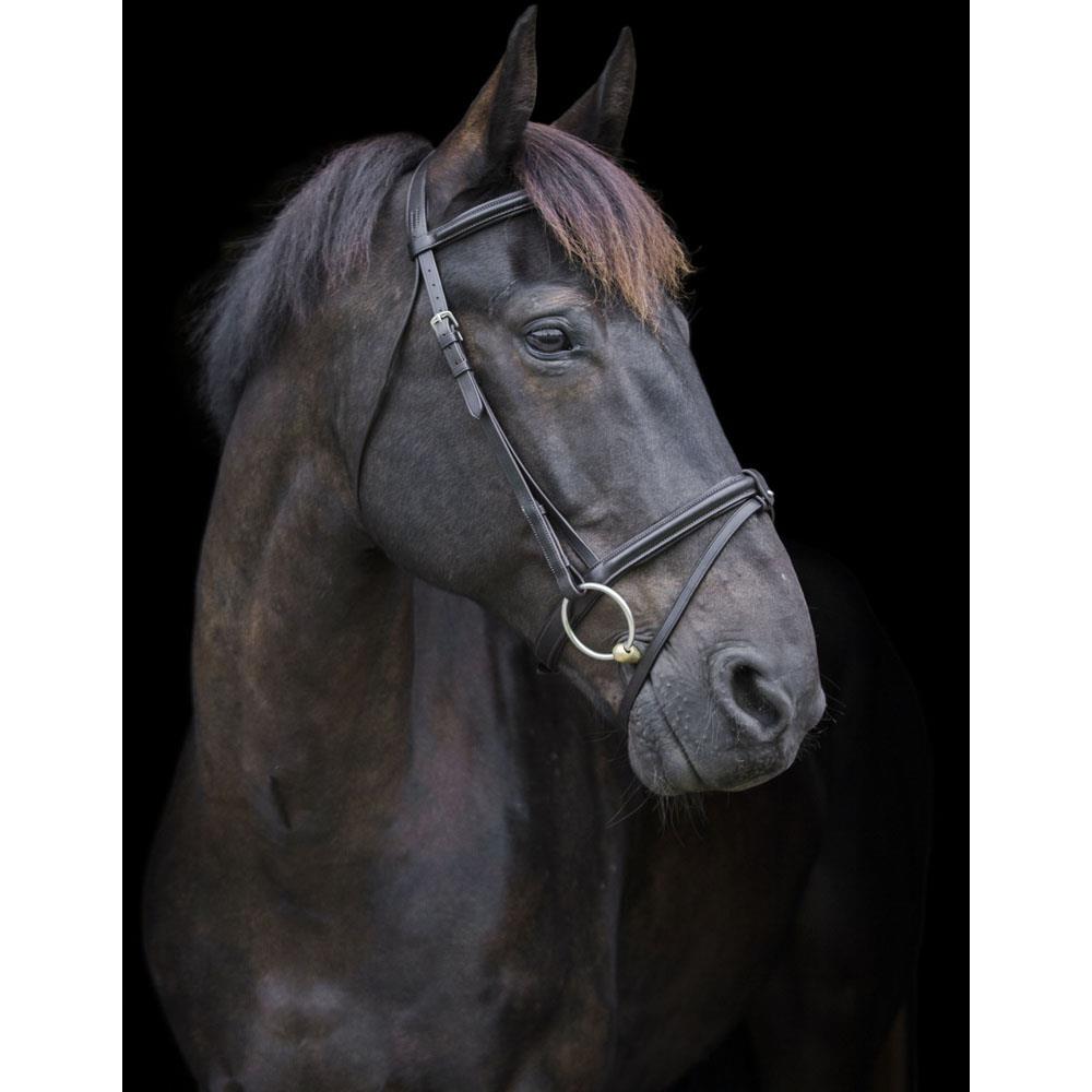 Handcrafted EcoLeather Classic Comfort Bridle Padded Headpiece & Removable Flash - Just Horse Riders