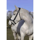 Eco Rider Freedom Comfort Bridle -Game-Changing Design for Perfect Fit & Comfort - Just Horse Riders