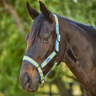 Weatherbeeta Coordinate Headcollar - Just Horse Riders