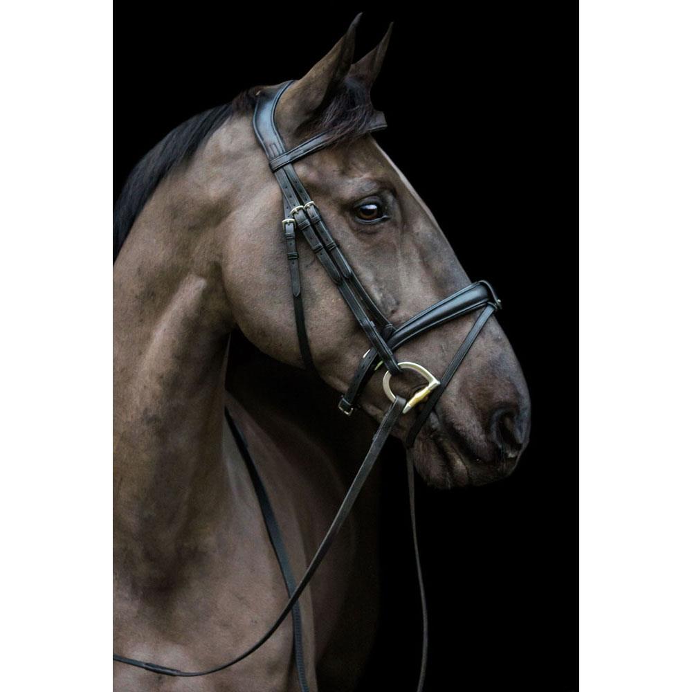 Eco Rider Ecosoft Luxe Bridle - Ultimate Comfort Pressure Relief Design - Just Horse Riders