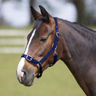 Bitz Everyday Adjustable Headcollar - Just Horse Riders