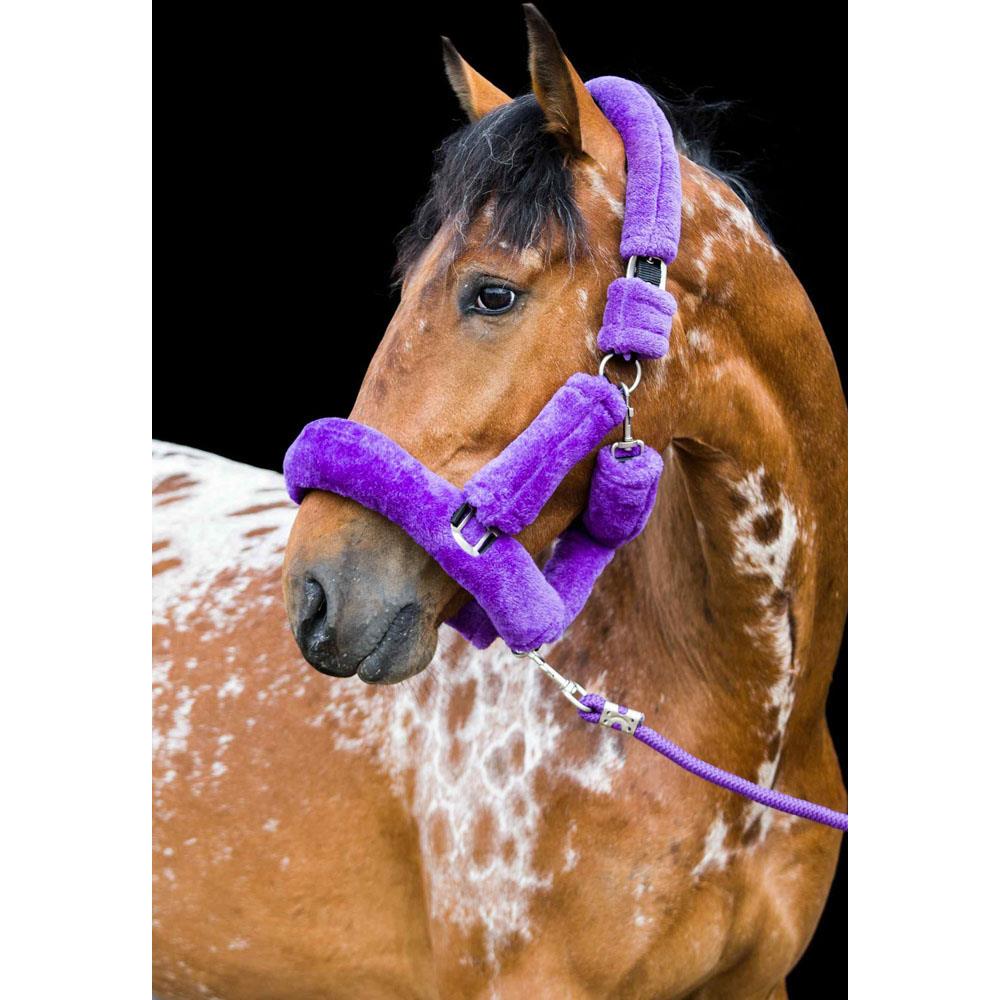 Cameo Equine Deluxe Headcollar - Supersoft & No Rust Fittings in Multiple Colors - Just Horse Riders