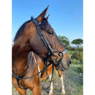 Eco Rider Freedom Jump Bridle Adjustable Bow Alleviate Pressure Sensitive Areas - Just Horse Riders