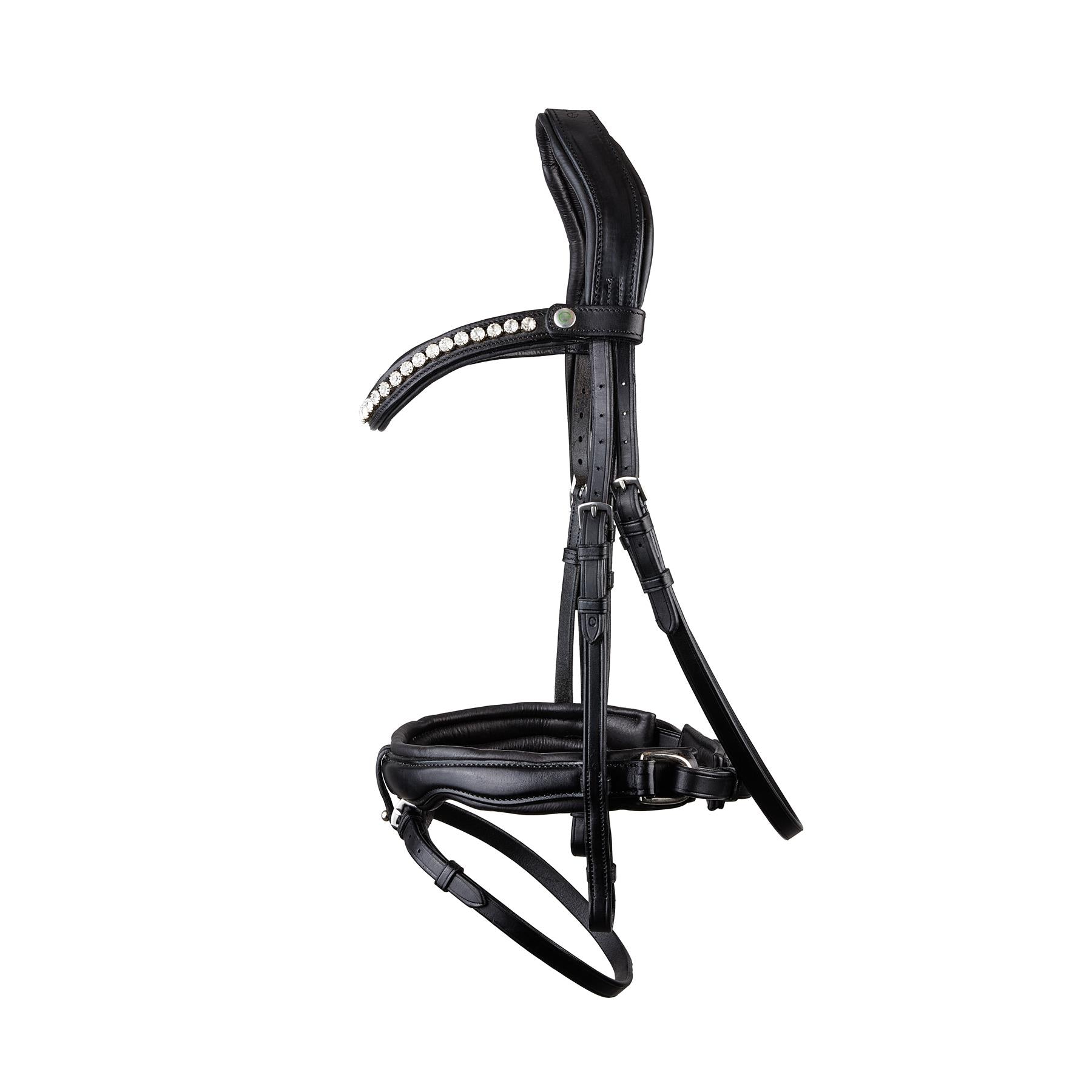 Eco Rider Navan v2.0 Bridle