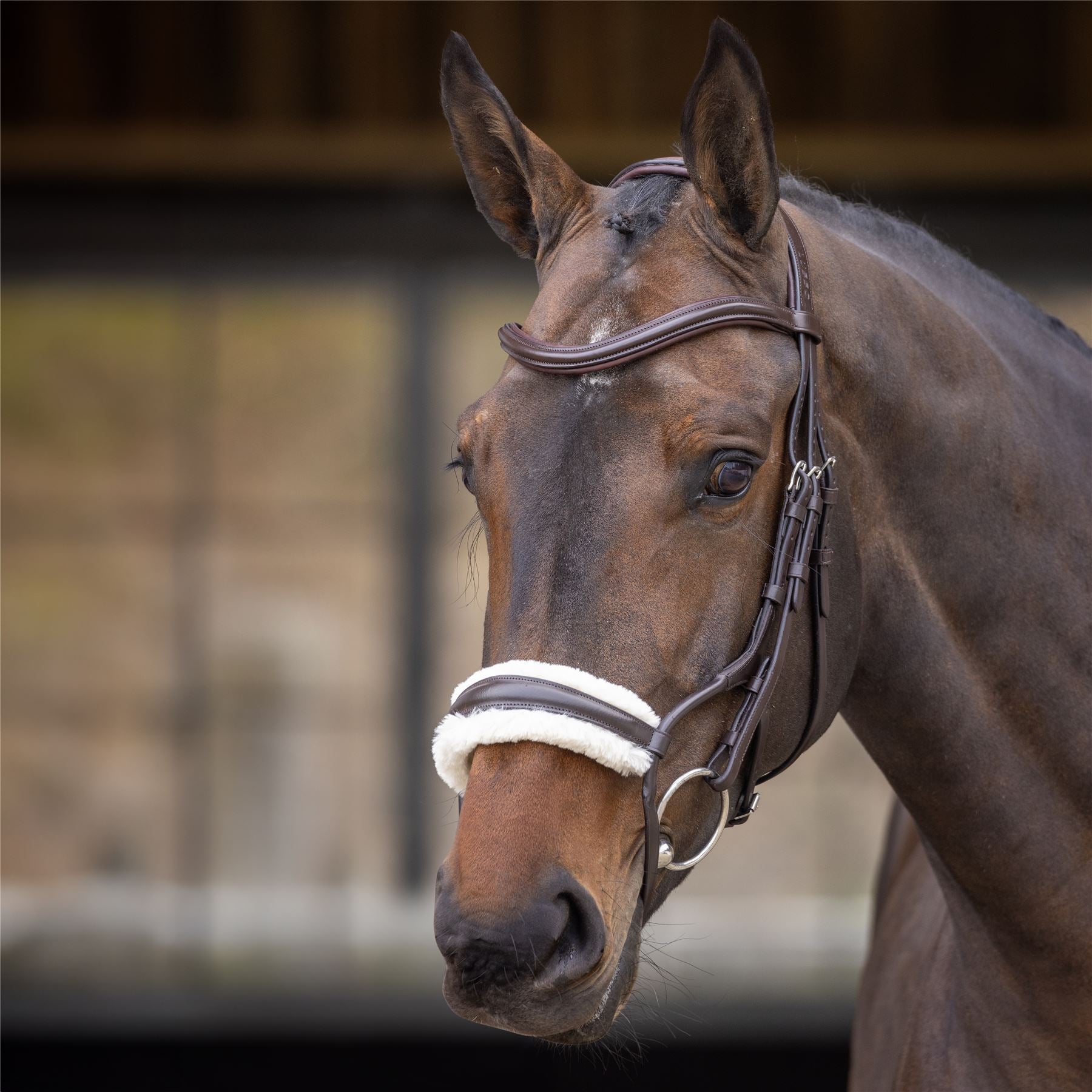 Shires Velociti Rapida Rolled Fleece Noseband - Just Horse Riders