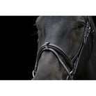 Handcrafted EcoLeather Classic Comfort Bridle Padded Headpiece & Removable Flash - Just Horse Riders