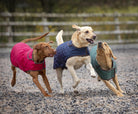 Digby & Fox Heritage Dog Coat - Just Horse Riders