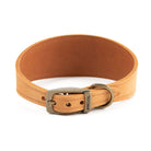 Ancol Timberwolf Hound Collar - Just Horse Riders