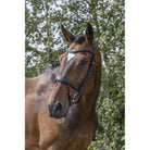 EcoRider Ecosoft Enigma Bridle - Softest Eco Leather, Supersoft Ergonomic Headpiece - Just Horse Riders