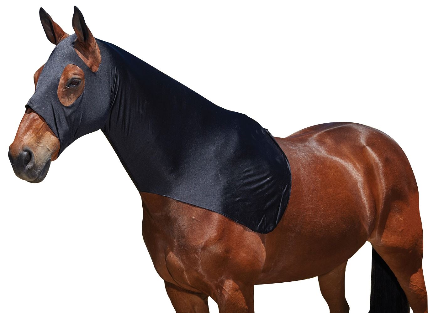 Weatherbeeta Stretch Hood - Just Horse Riders